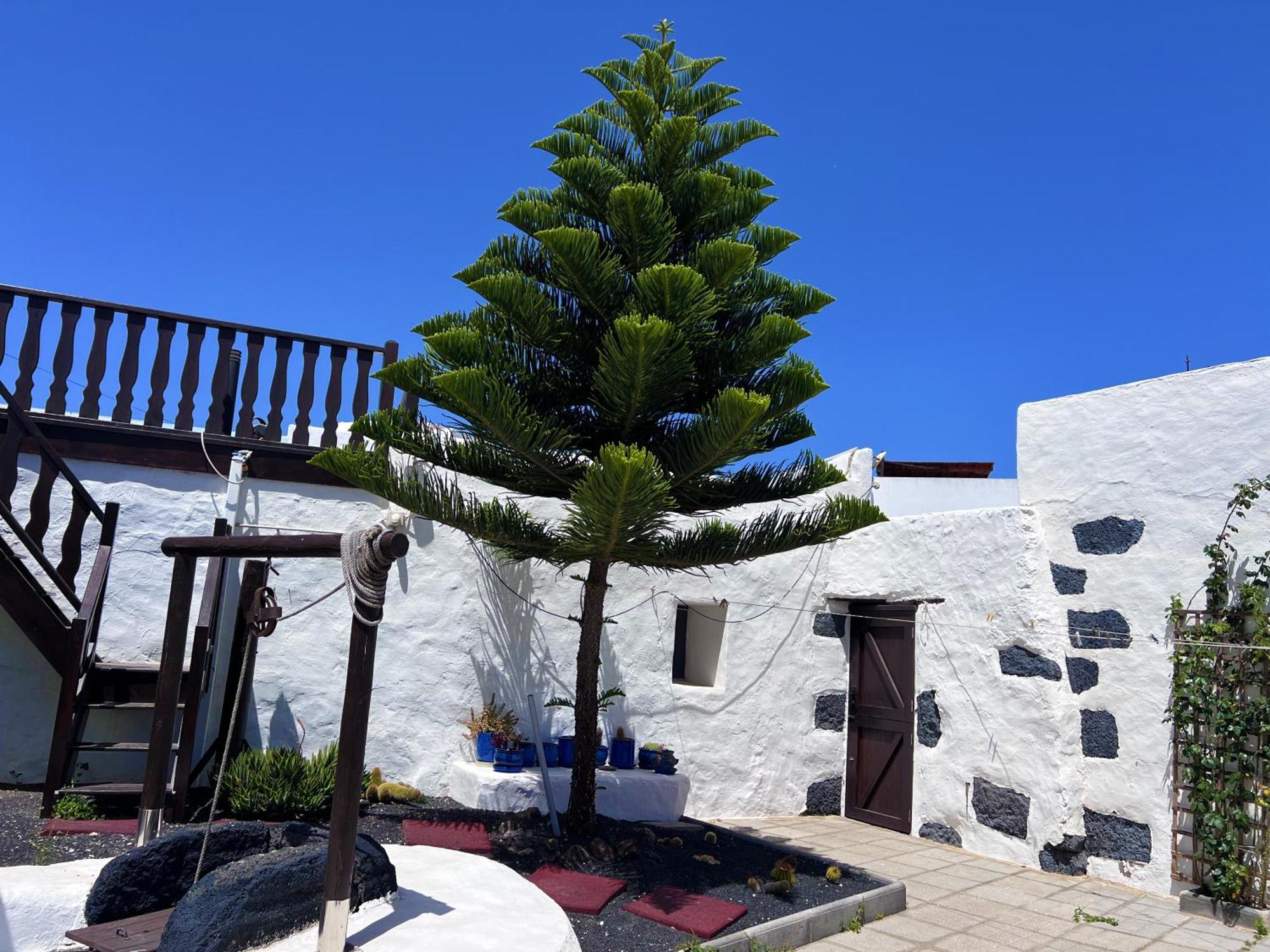 Casa Rural Estilo Canario Villa San Bartolome  Exterior photo